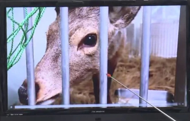 @存在しない存在