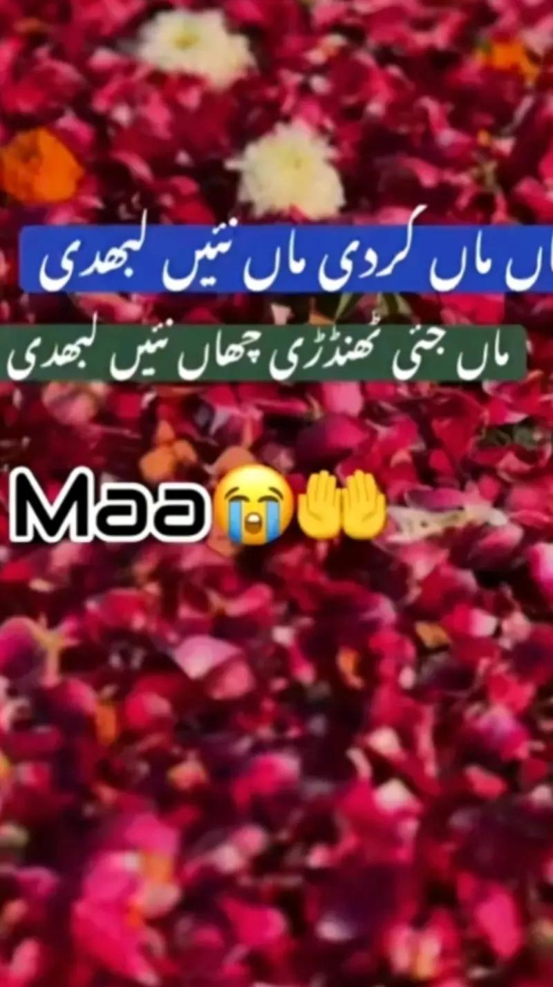 @Meri maa Meri jannat hai 😭😭