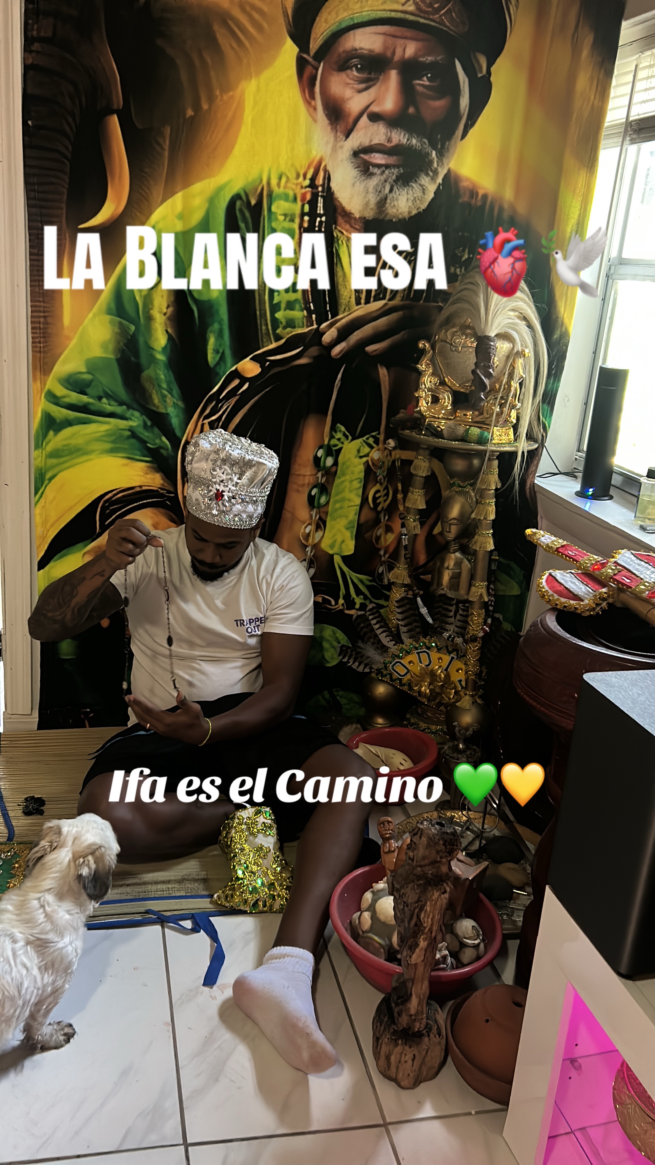 @Lacasadeeggun🤍🖤
