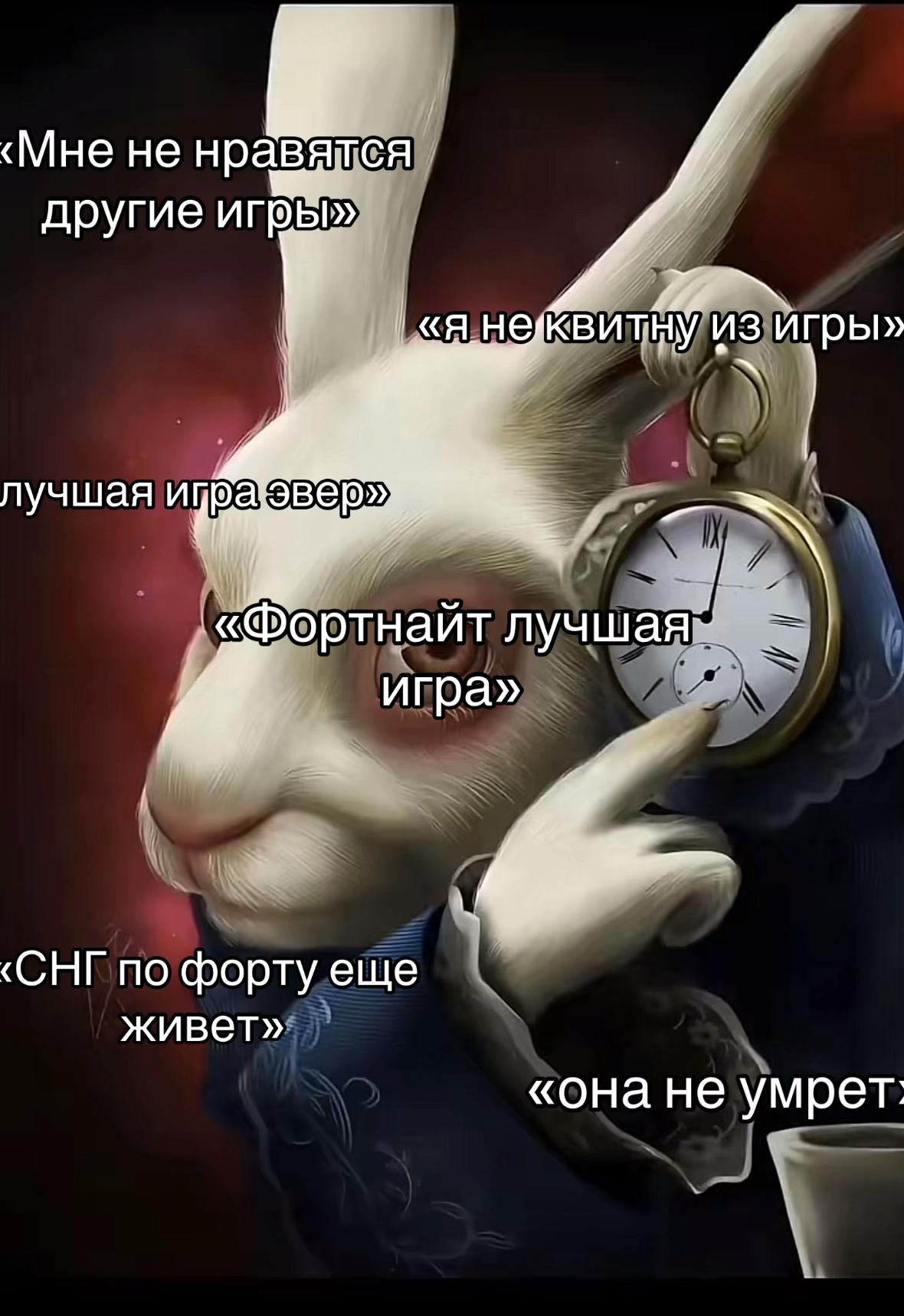 @Mr.Duck404
