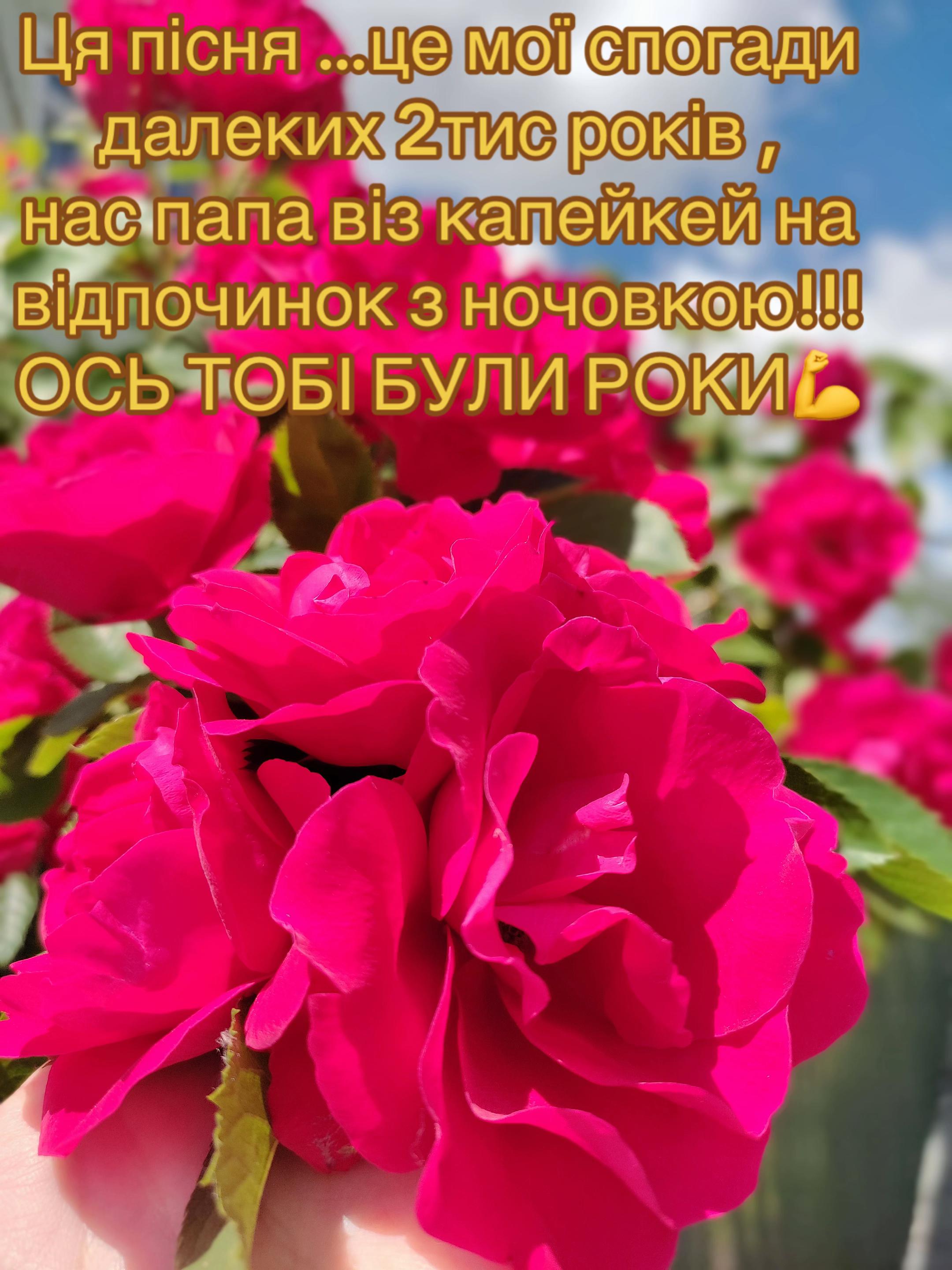 @❤️Танюшка❤️