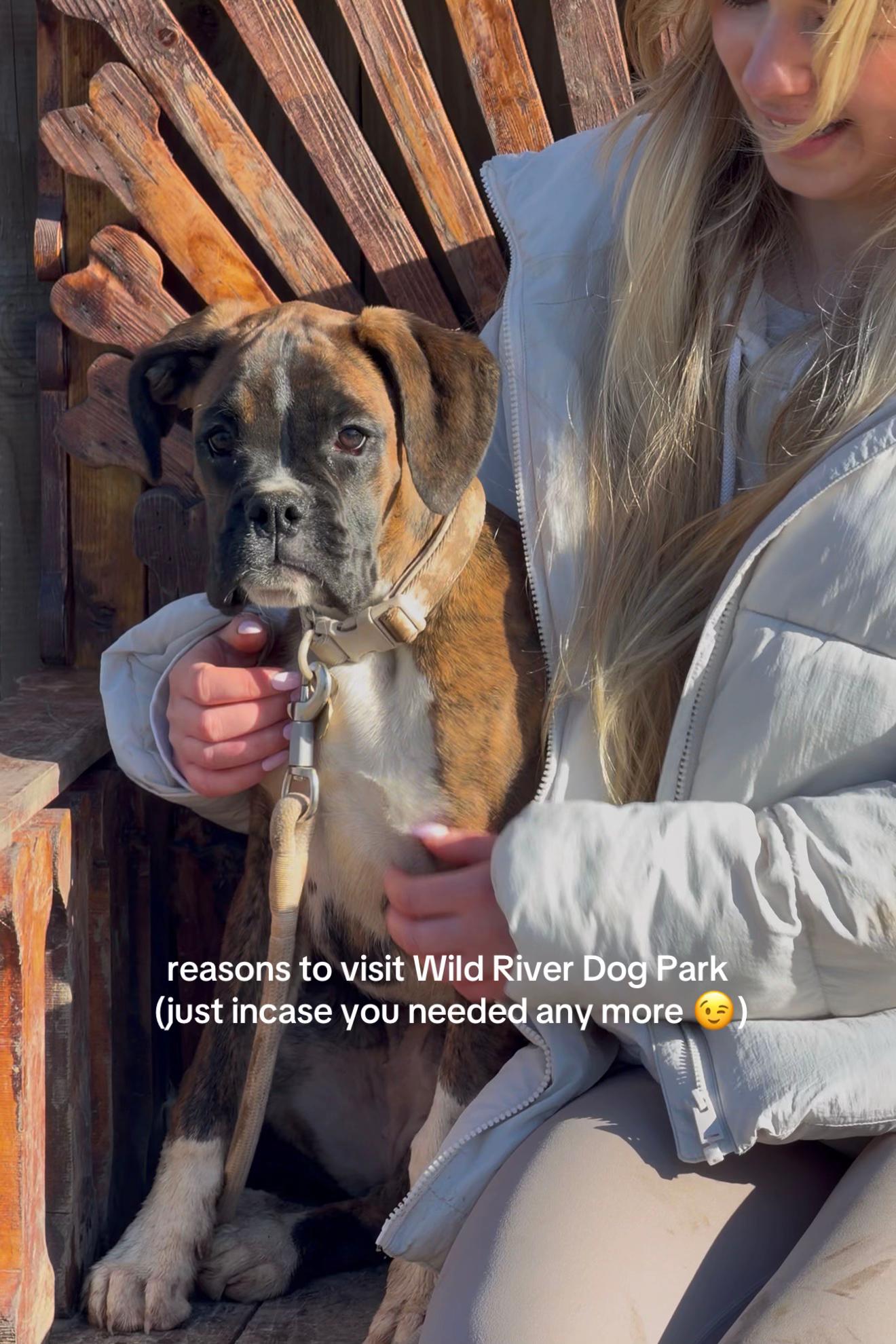 @Wild River Dog Park