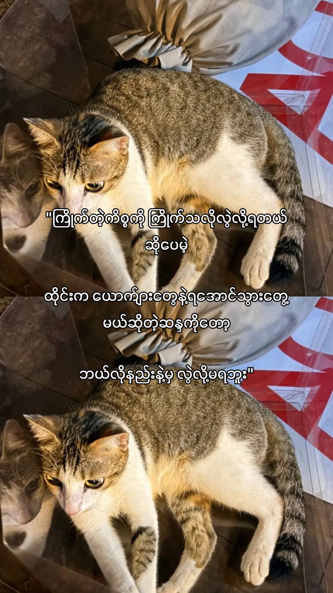 @𐙚 𝑆𝑎𝑛𝑡𝑎ᶻⁱⁿ 𐙚