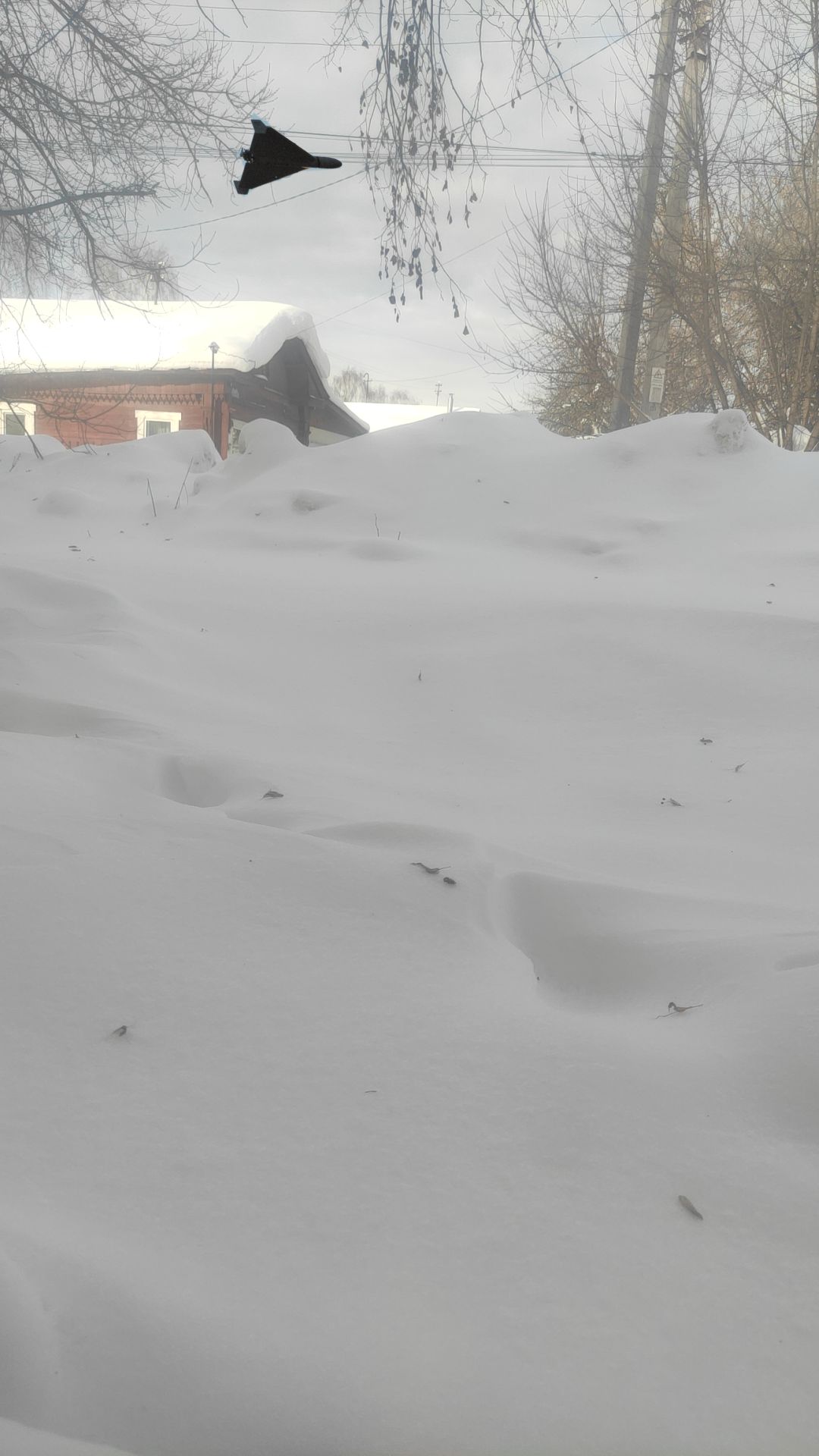 @👹DEMONS TRIYMF