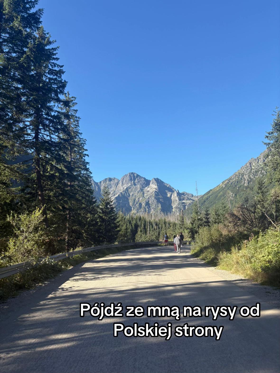 @Alaa Budzińska