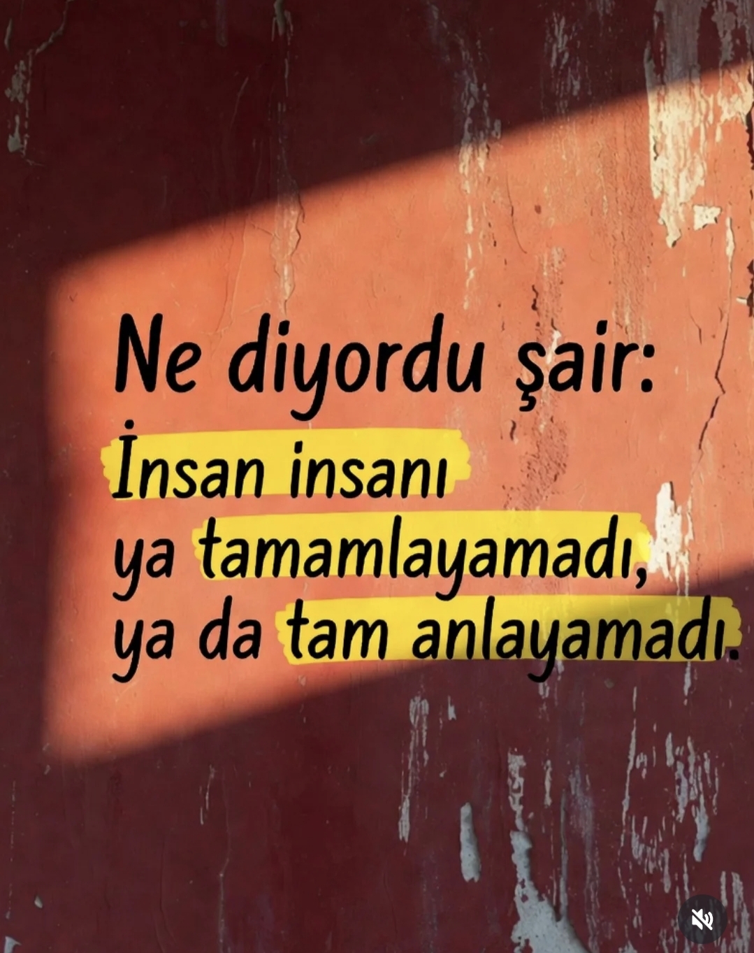 @muro62