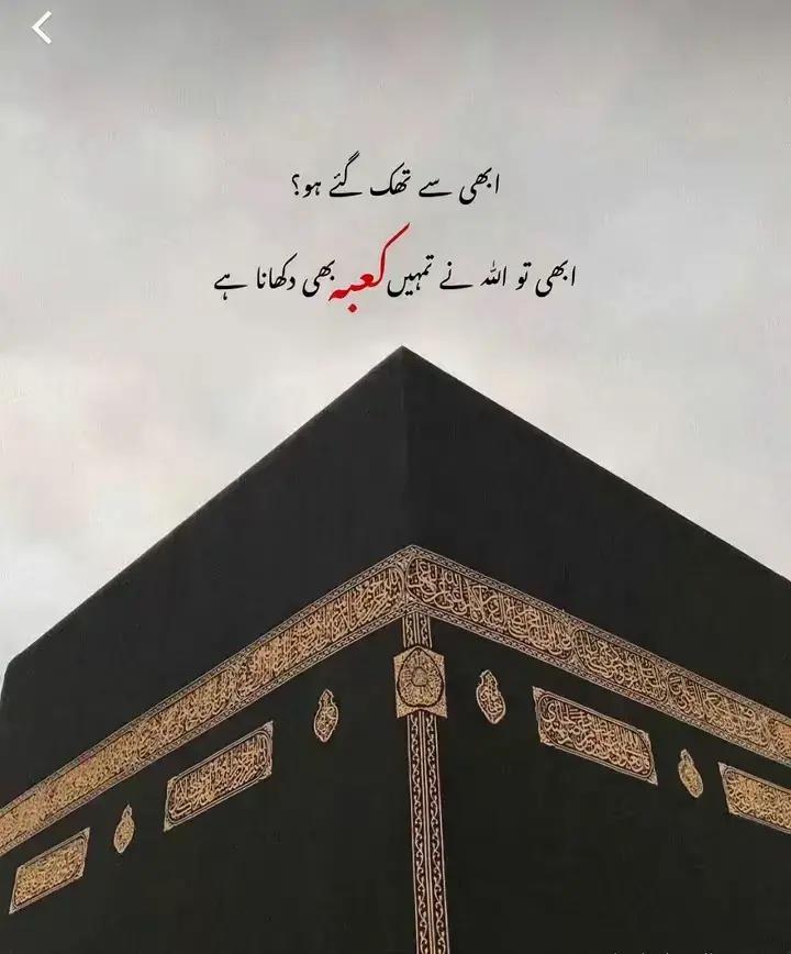 @inzamam jani