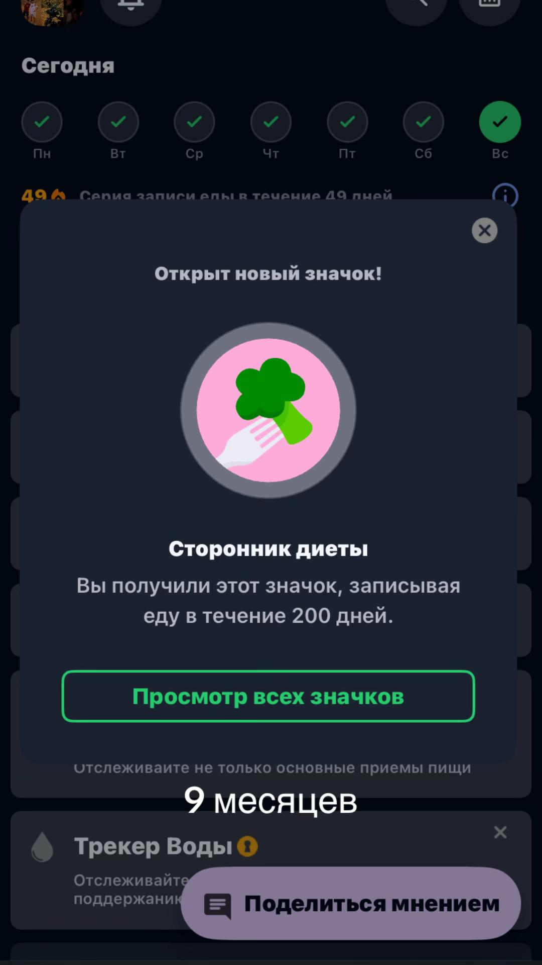 @Качек in 🔜