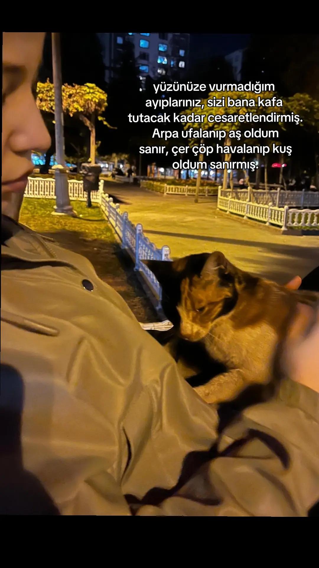@ayran🥛