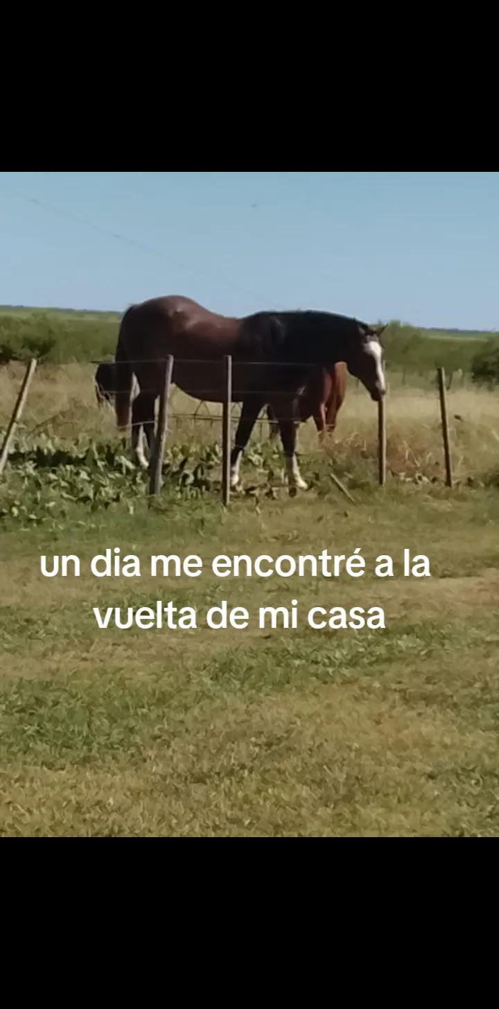 @Frann🖤