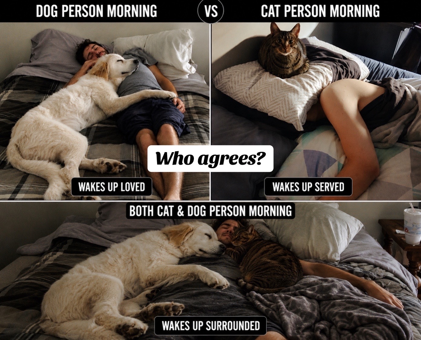 @Drew crazy cat guy