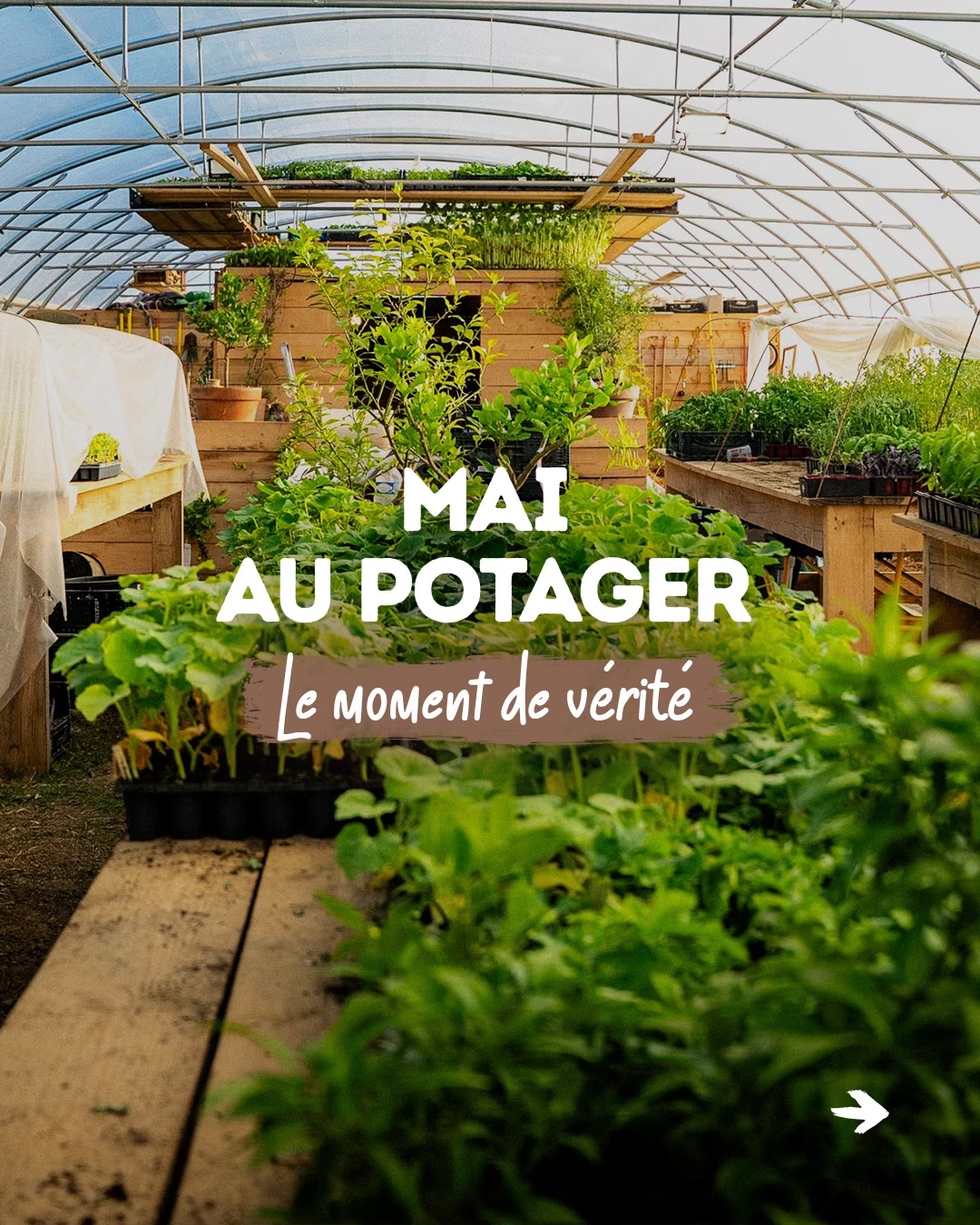 @Goran Le Permaculteur