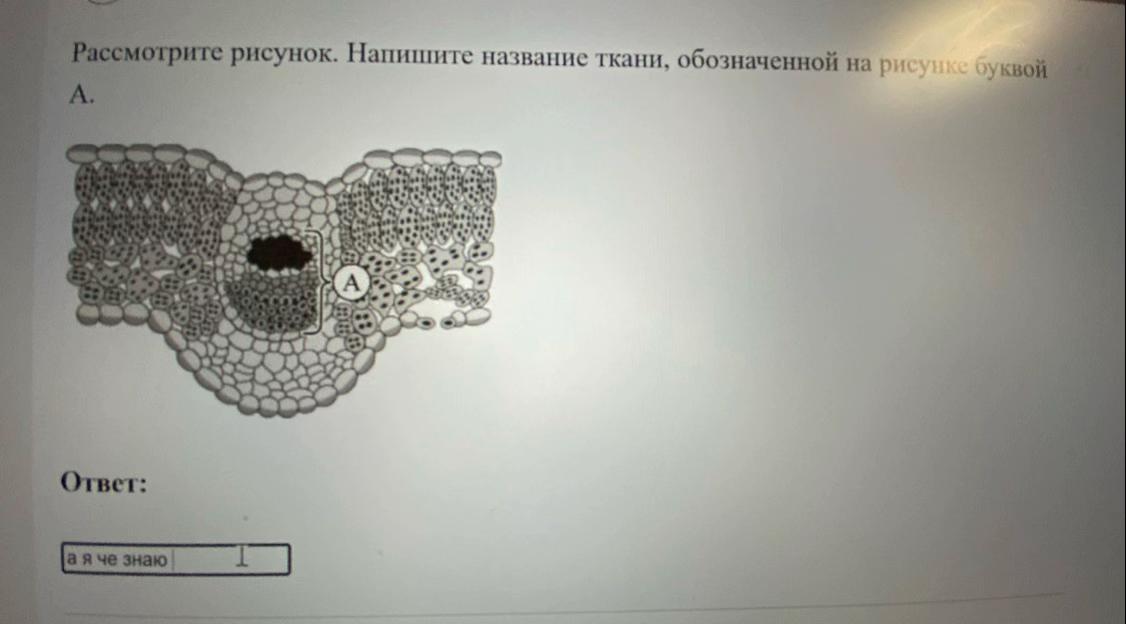 @Синди✂️✂️