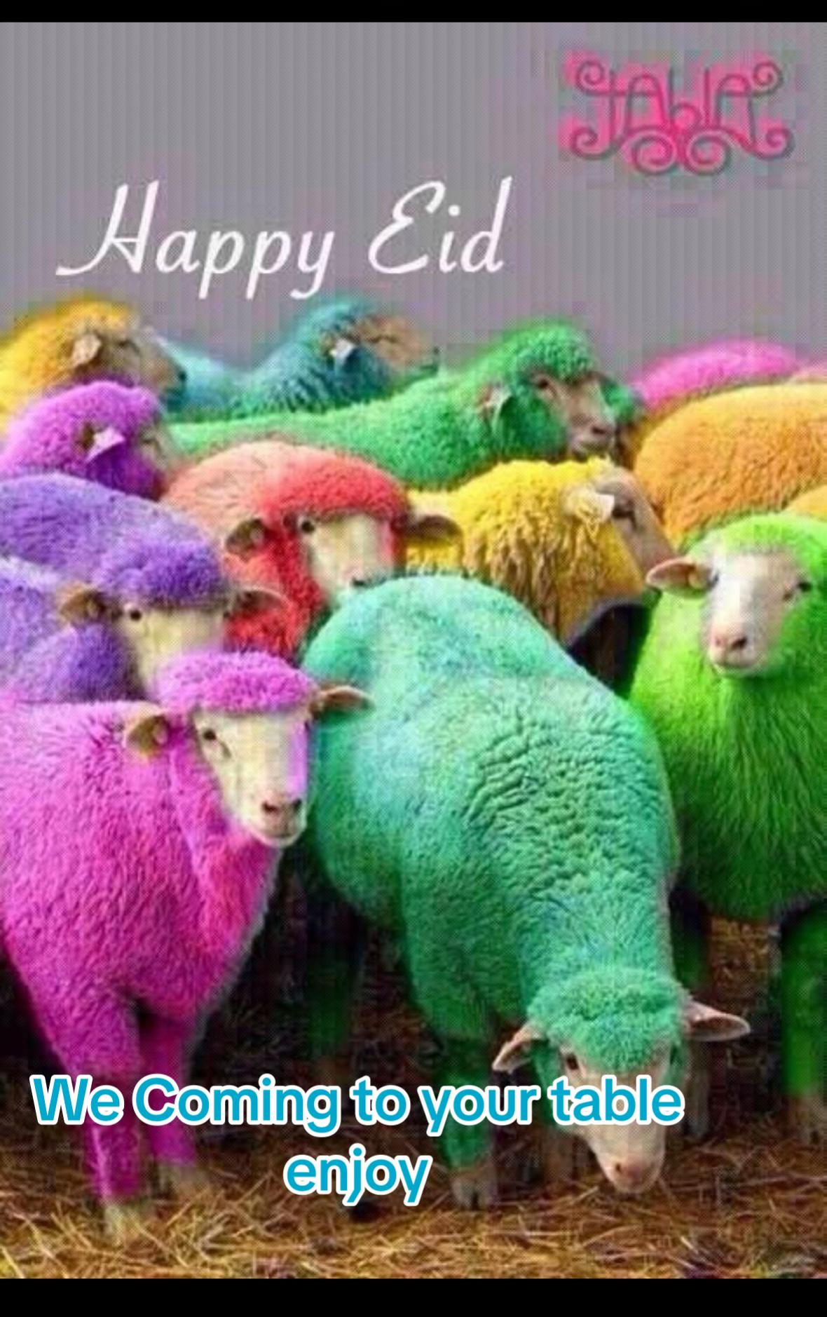 @Veer Nadim Mohammed