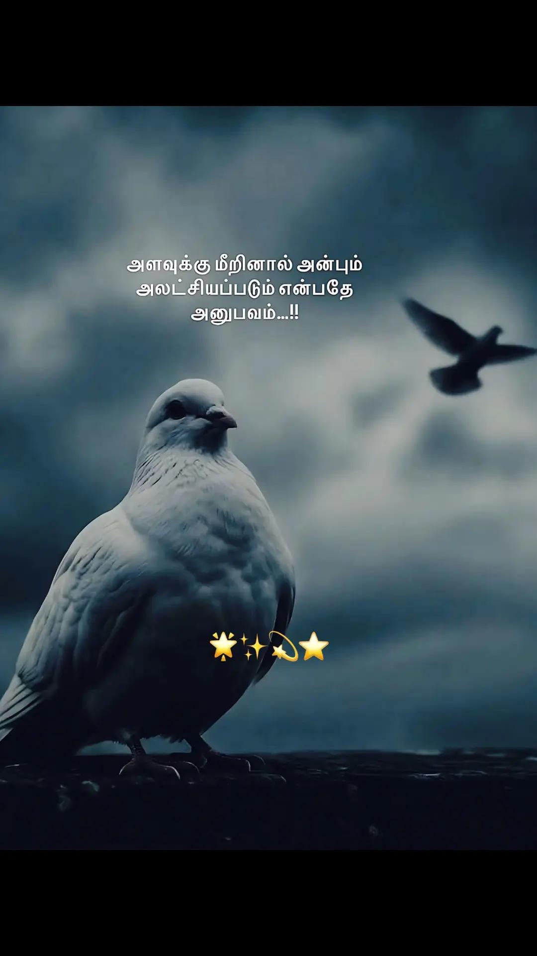 @💥Caption🎭Karan🚬💊