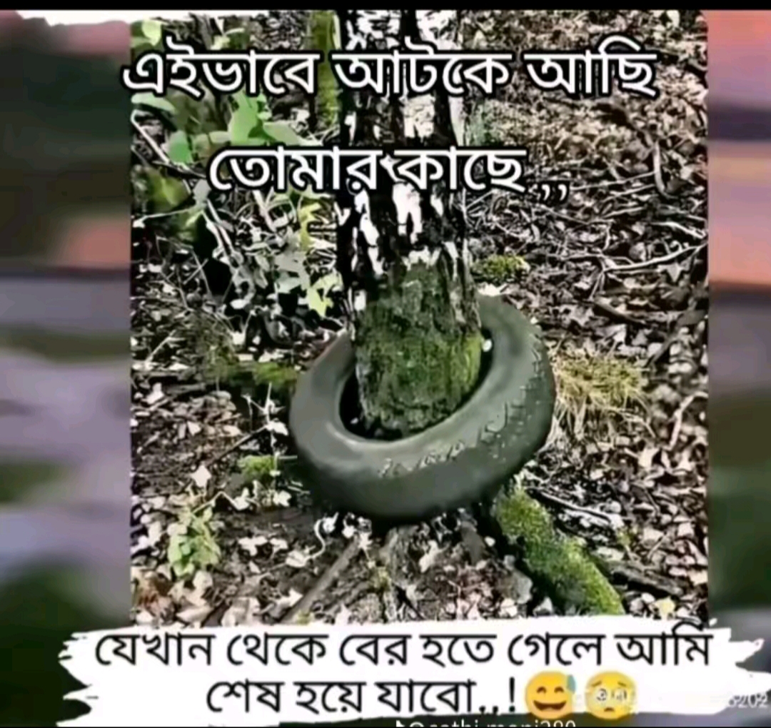 @BS Badhon sarkar