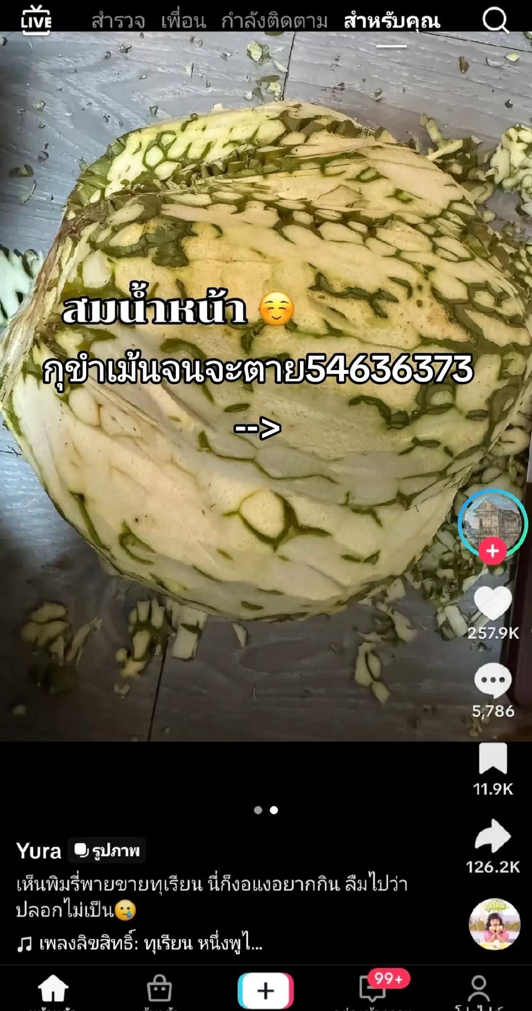 @•ɛ•