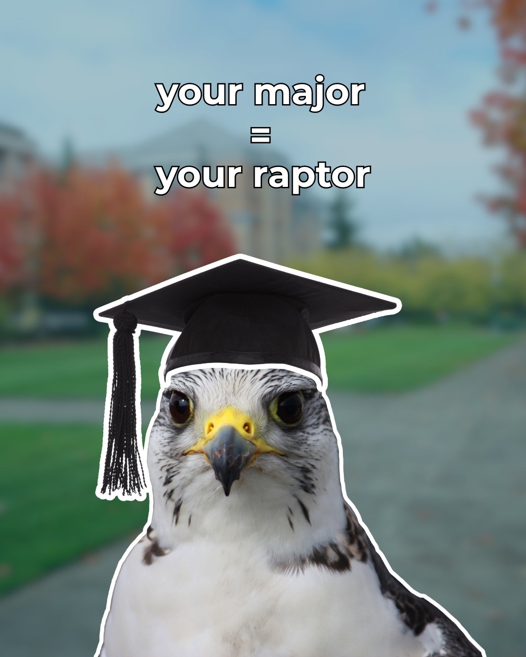 @Carolina Raptor Center