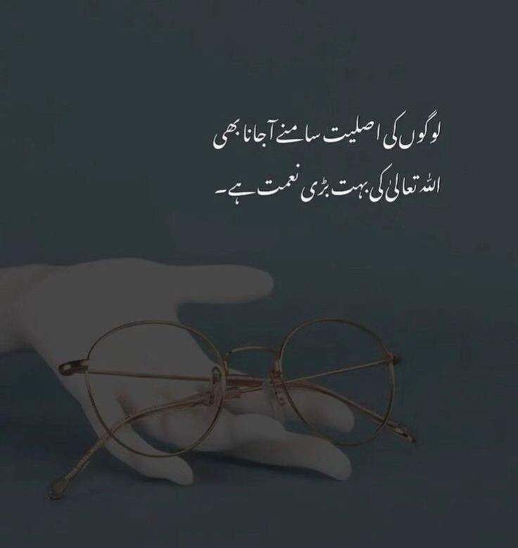 @Rehaan☑️