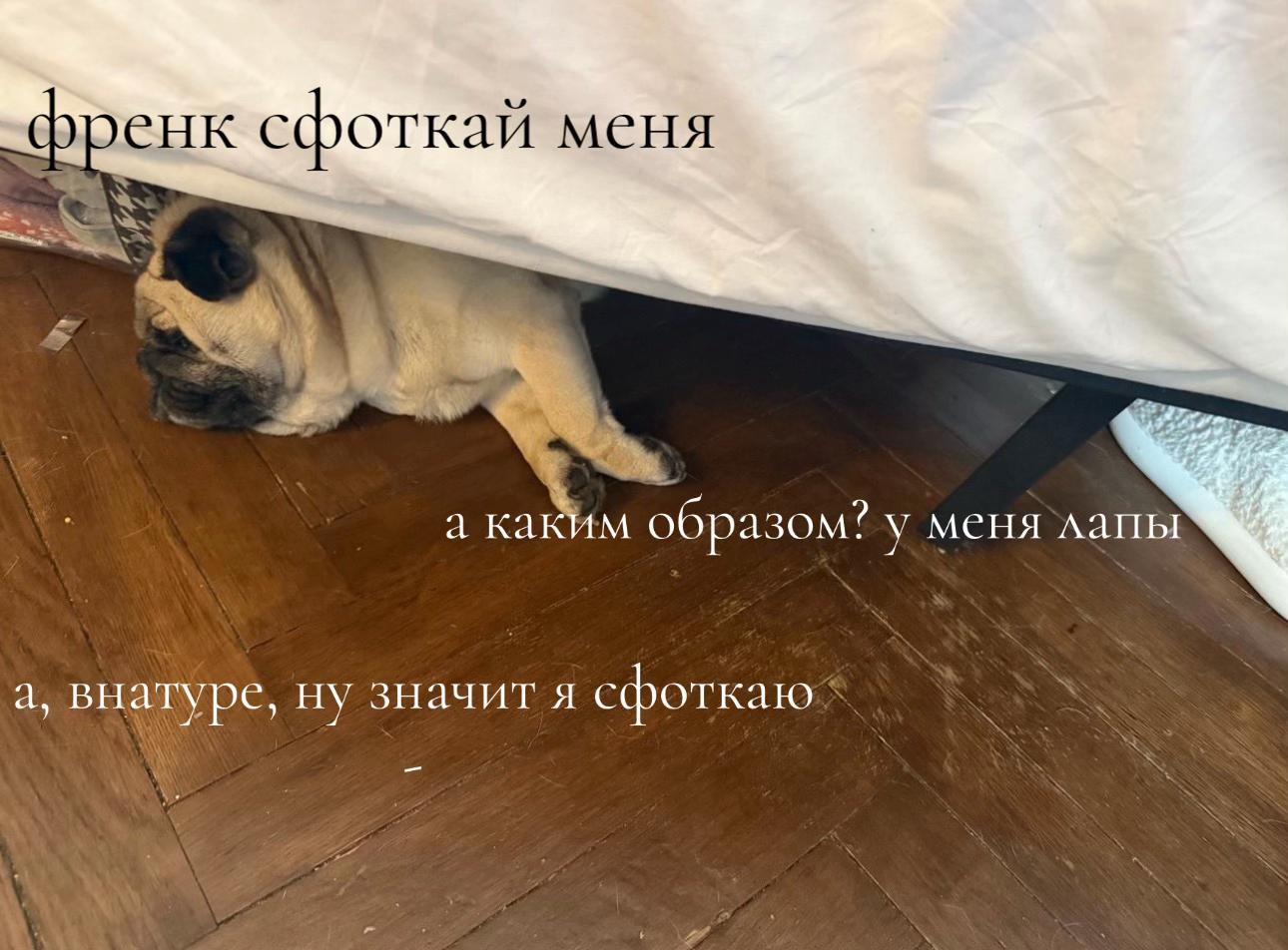 @не фейс +888🏴&zwj;☠️
