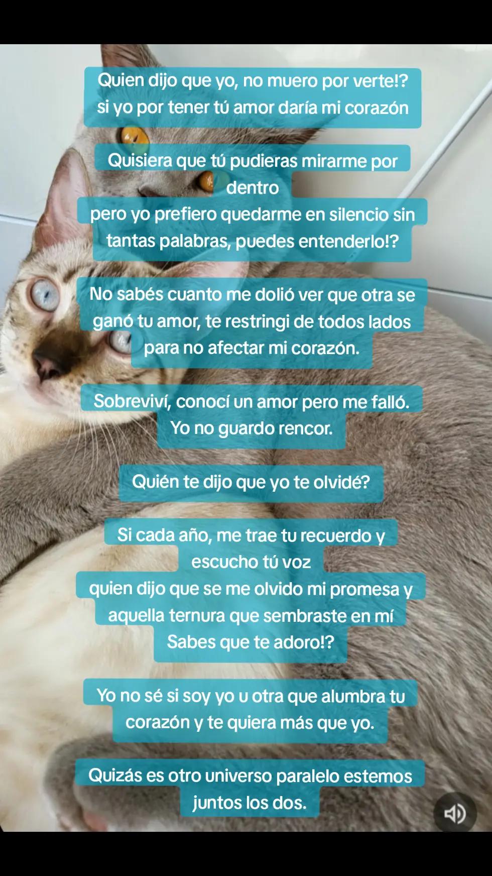 @putosescritos