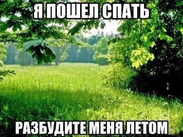 @mannaya