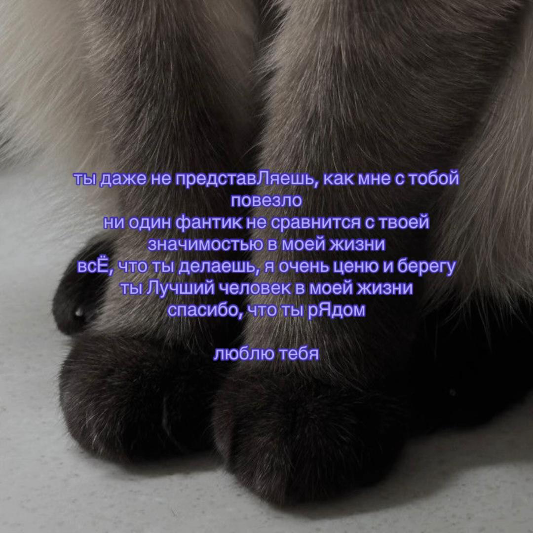 @𝙨𝙯𝙚𝙧𝙚𝙡𝙚𝙢