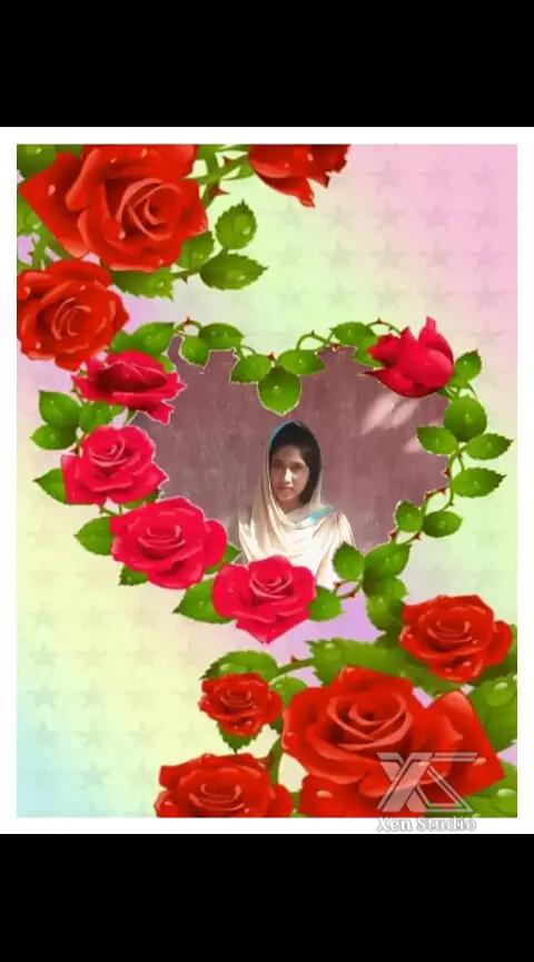 @SR SAROWAR