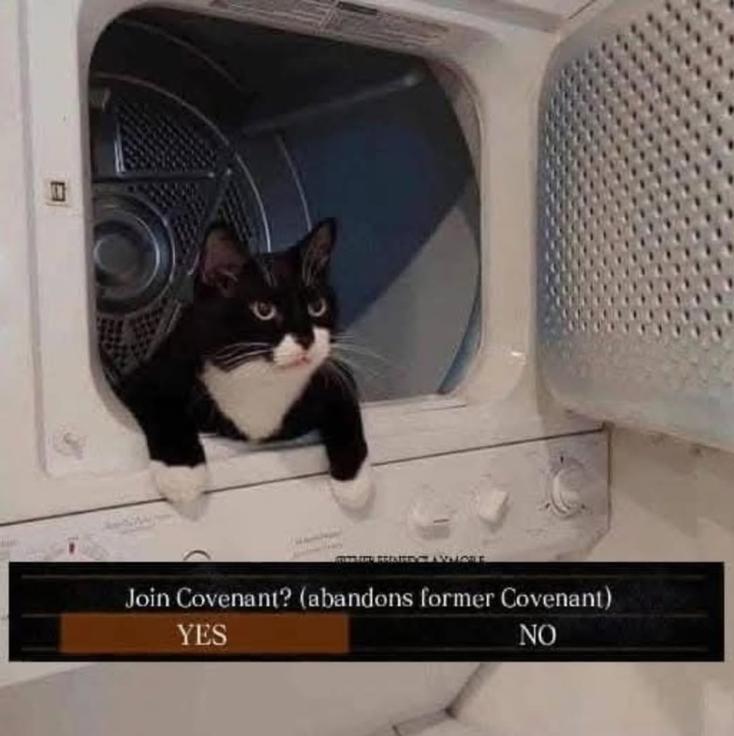 @Hallowmeme