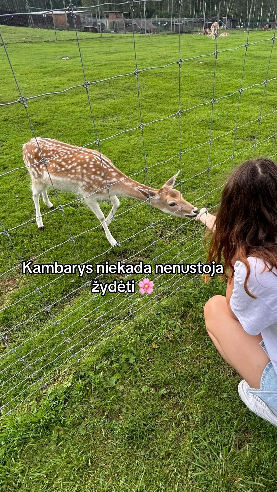 @grinkeviciutte