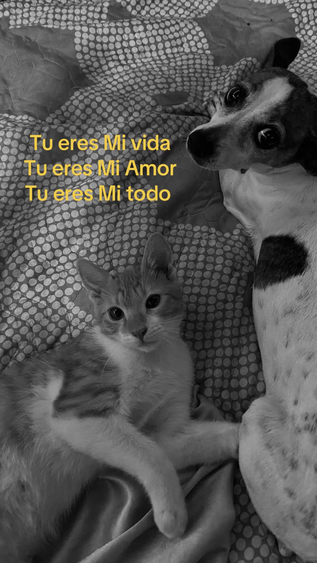 @Vale🎀