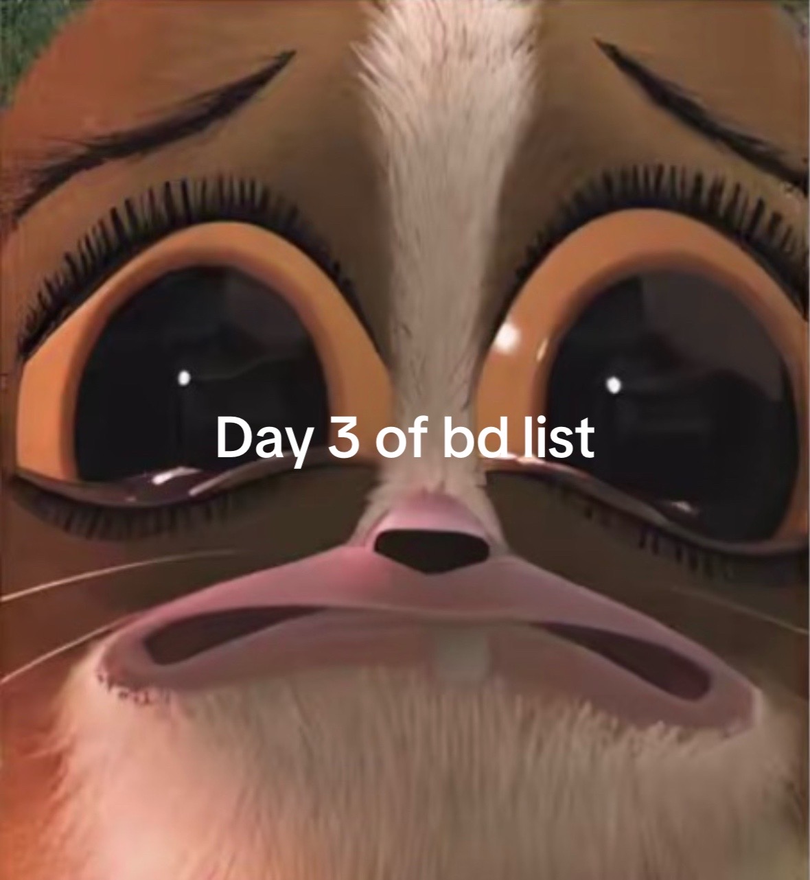 @Mort
