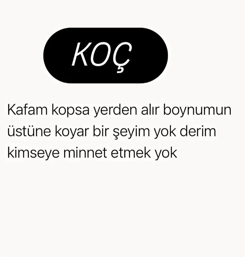 @kocburcu6