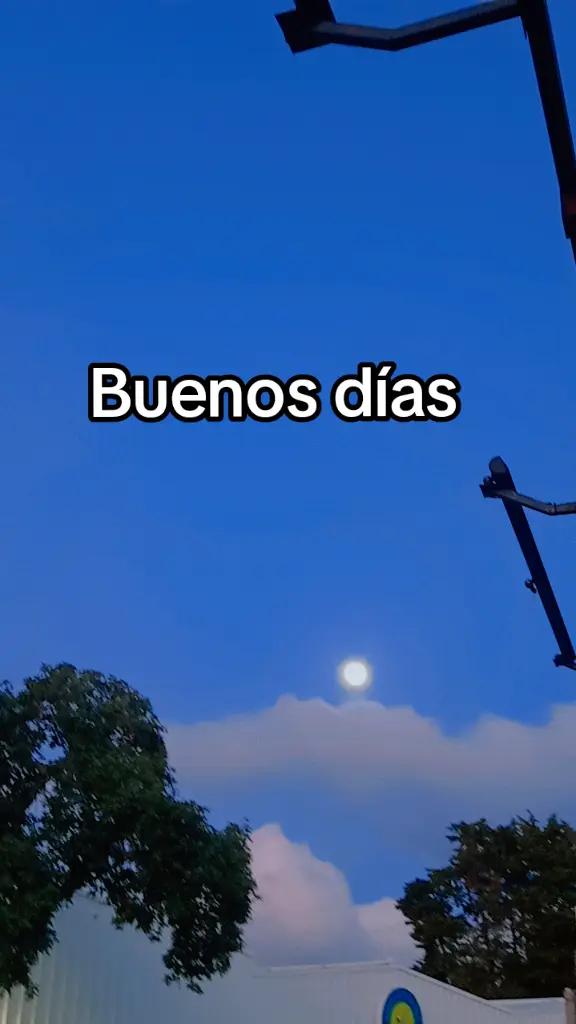 @❣️❣️❣️❣️❣️NOEM&Iacute;❣️❣️❣️❣️