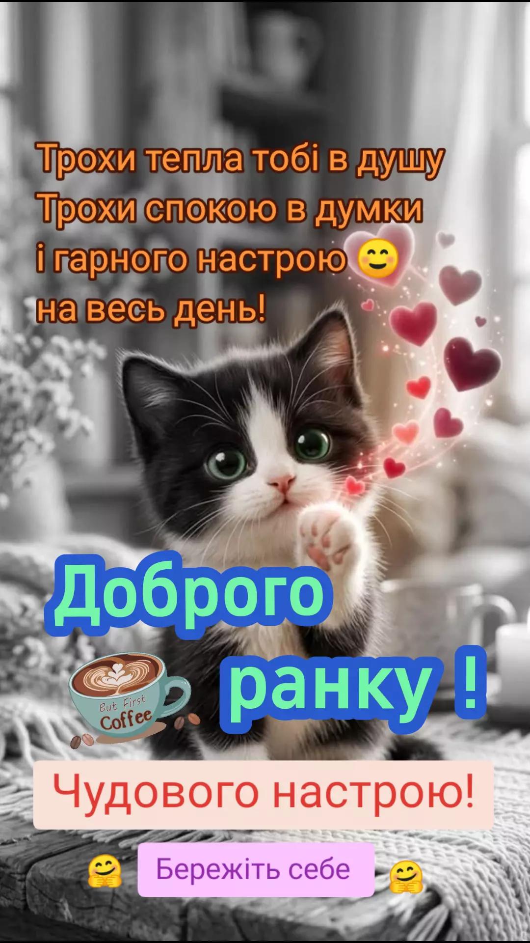 @🇺🇦 СВАХА 🇺🇦
