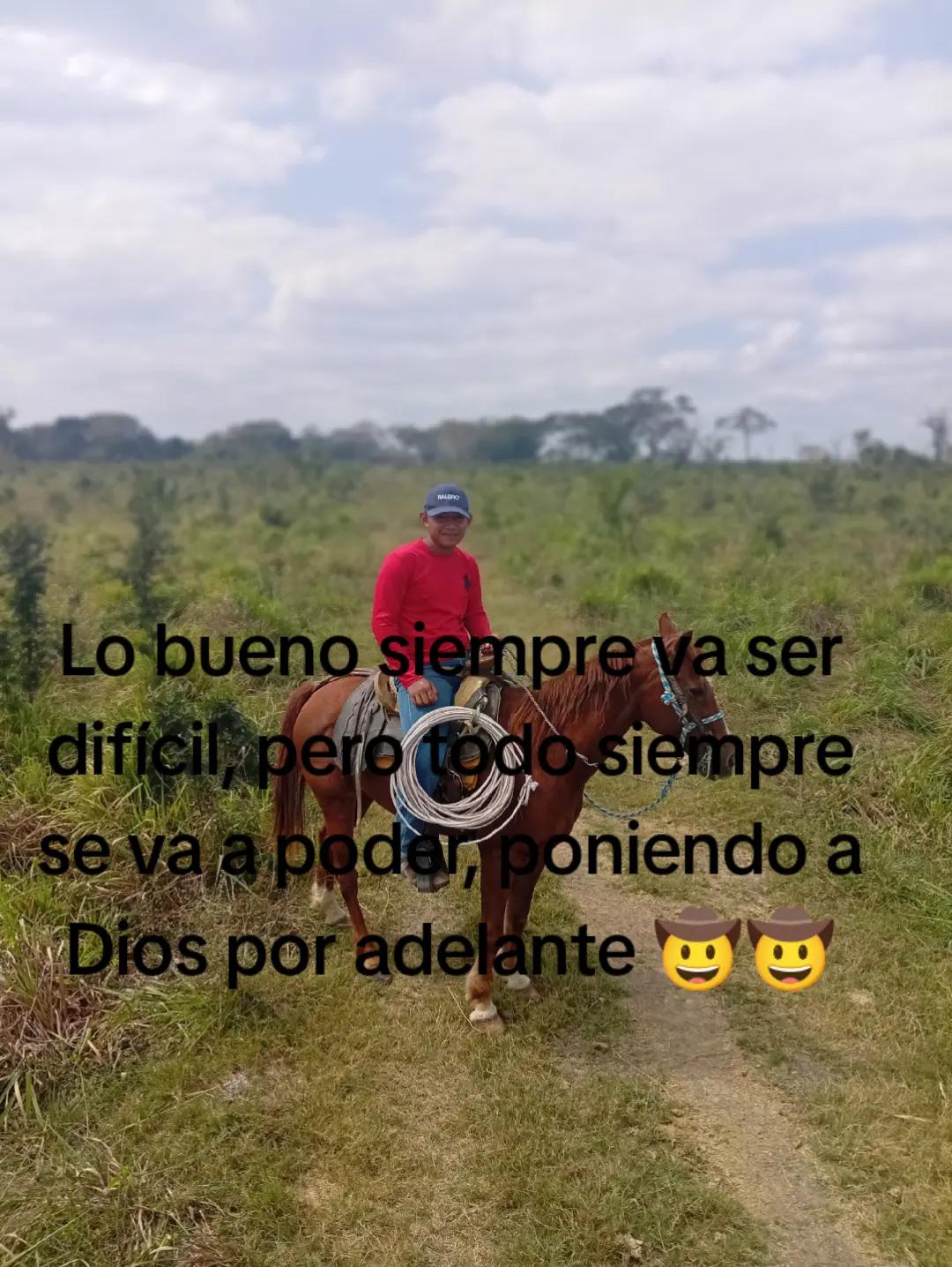 @Laguna Josmar