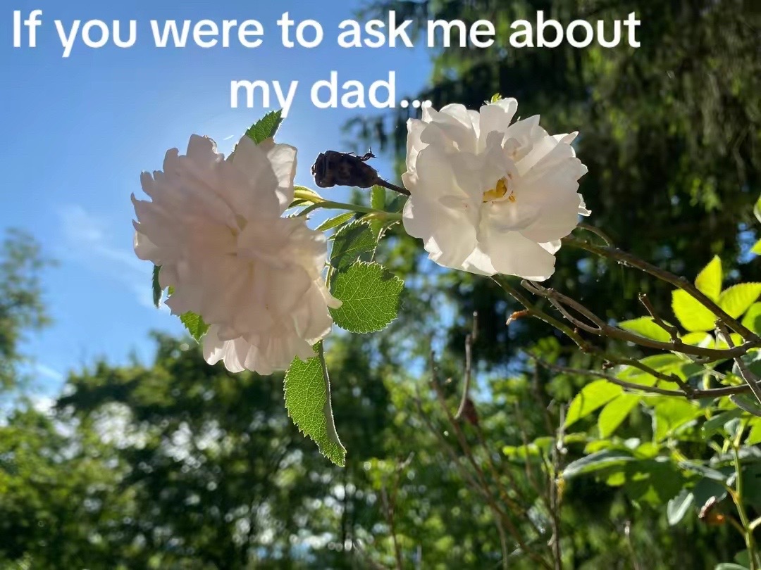 @Emmy 🐝