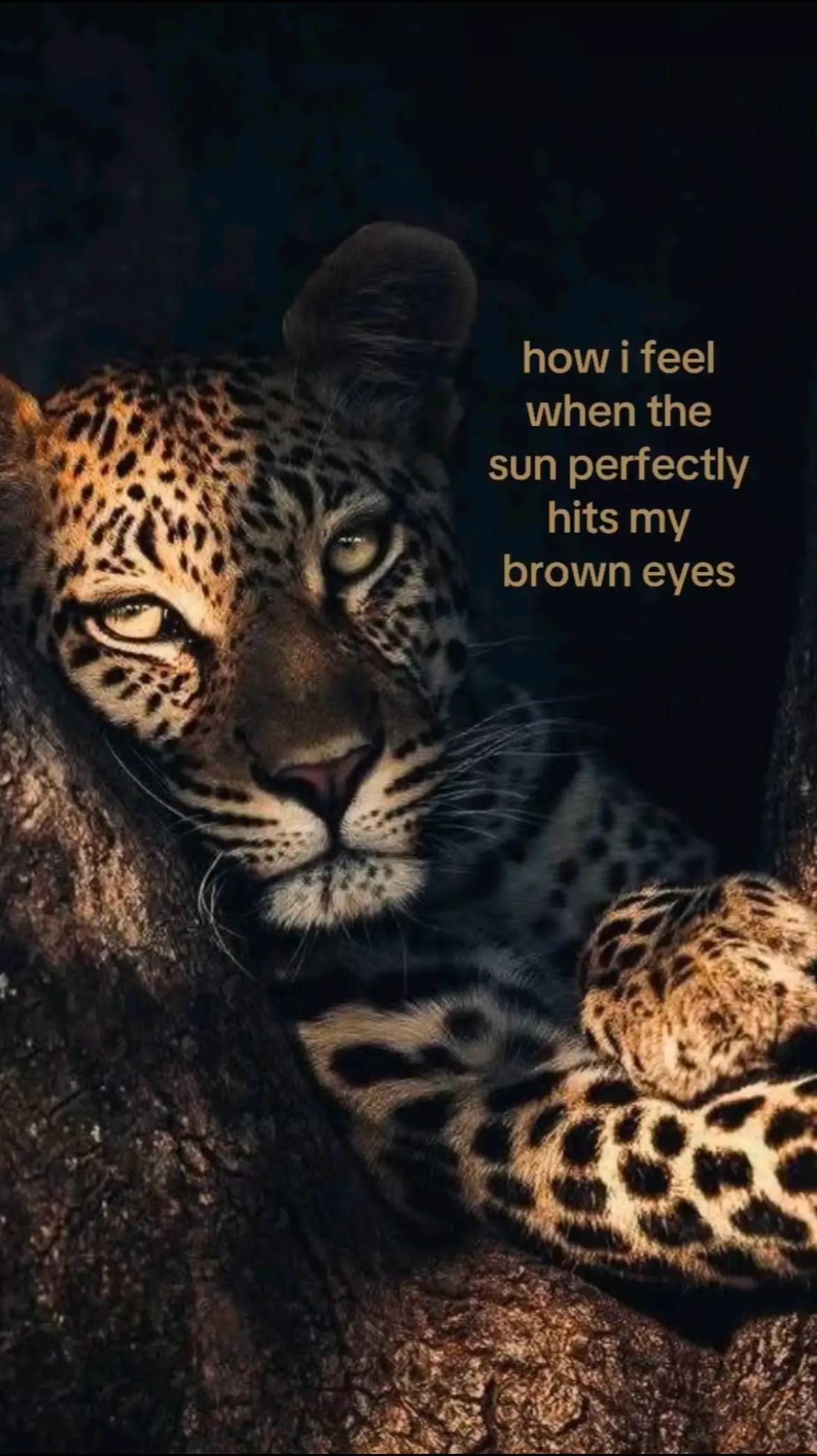 @Ali