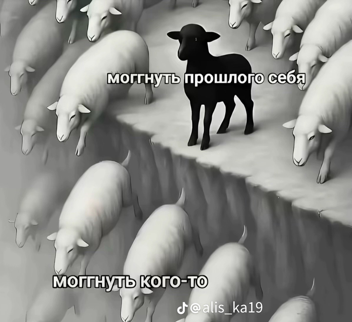 @ксеша о бьюти🪽