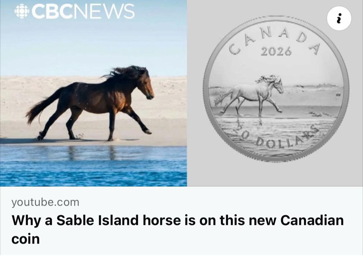 @LeCoinInfo 🇨🇦