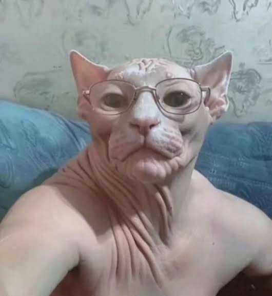@mikey233s