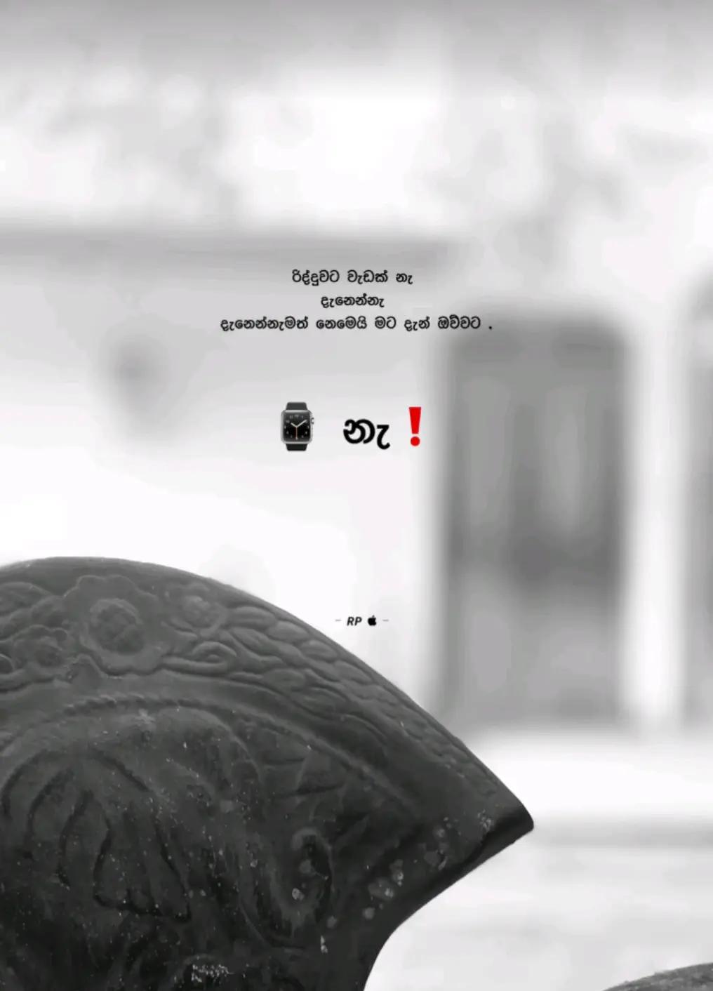 @𝑯 𝒊 𝒓 𝒖 𝒛 𝒁 🪼>