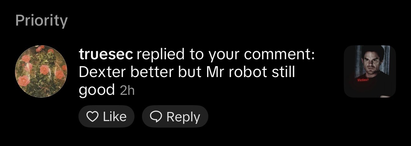 @mr robot