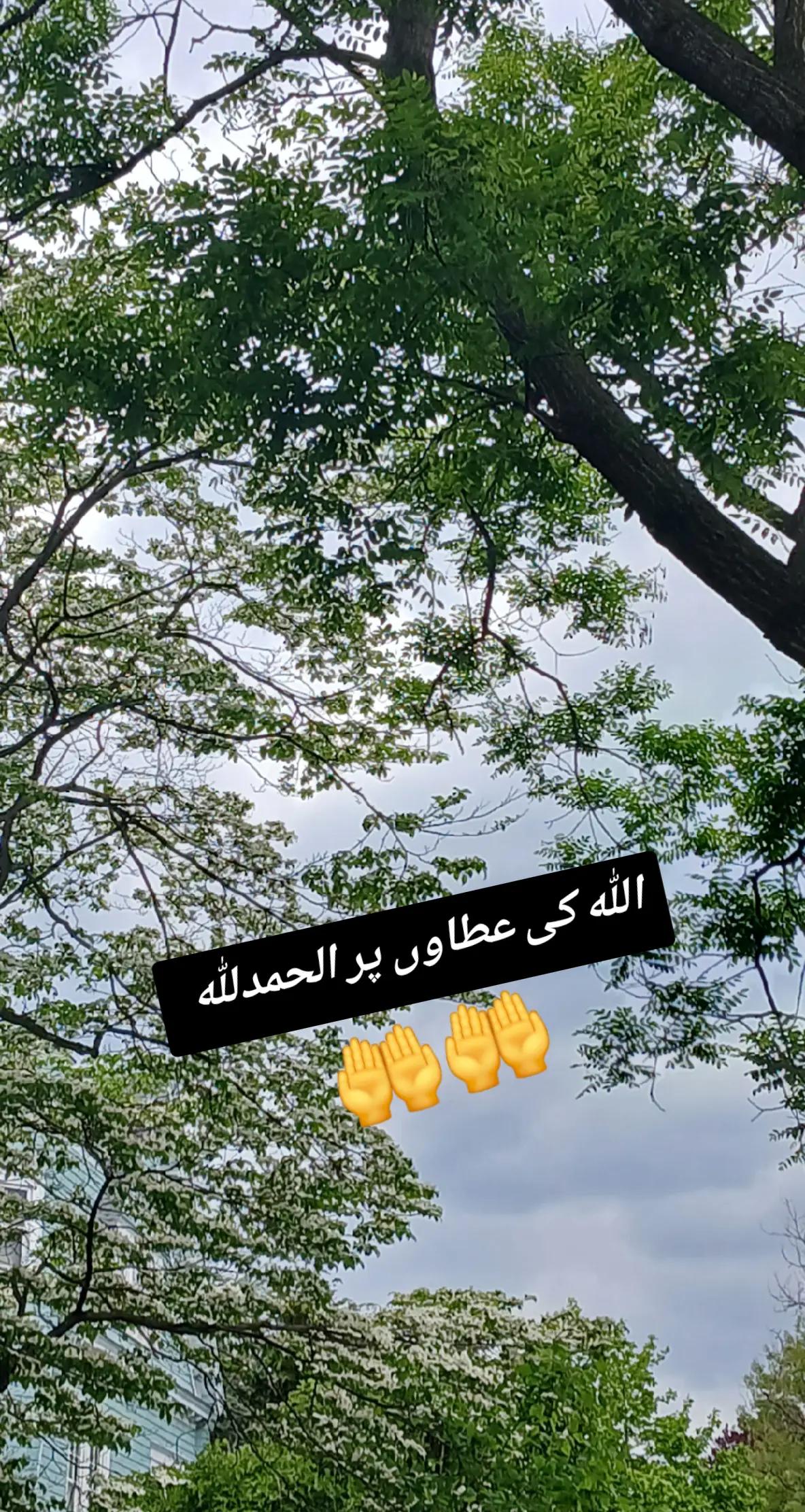 @Meharzaddi103❤️🦋❤️