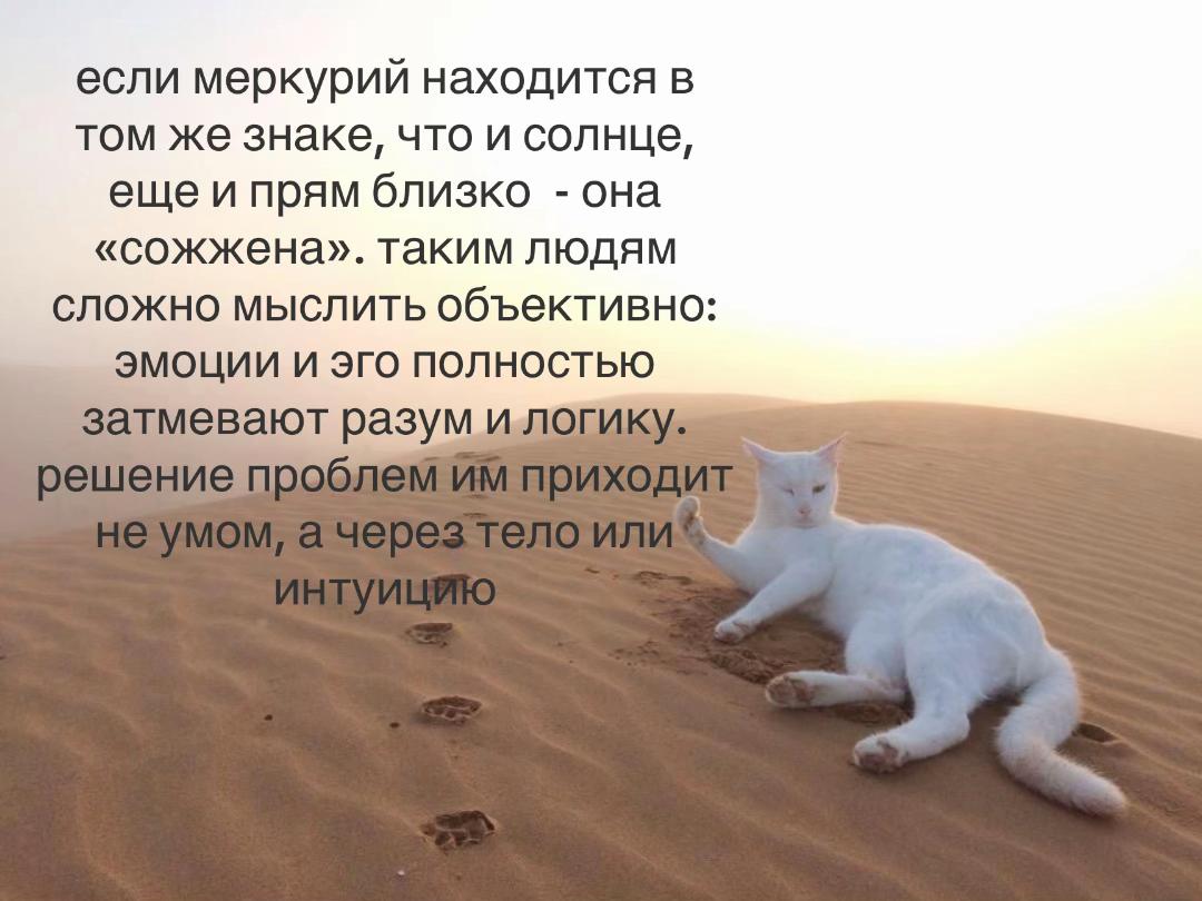 @movreo🧝🏼♀️