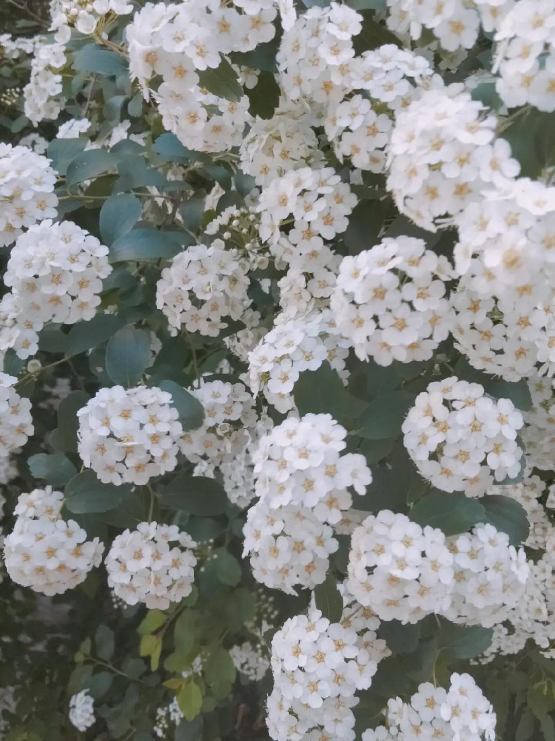 @Татьяна Саул