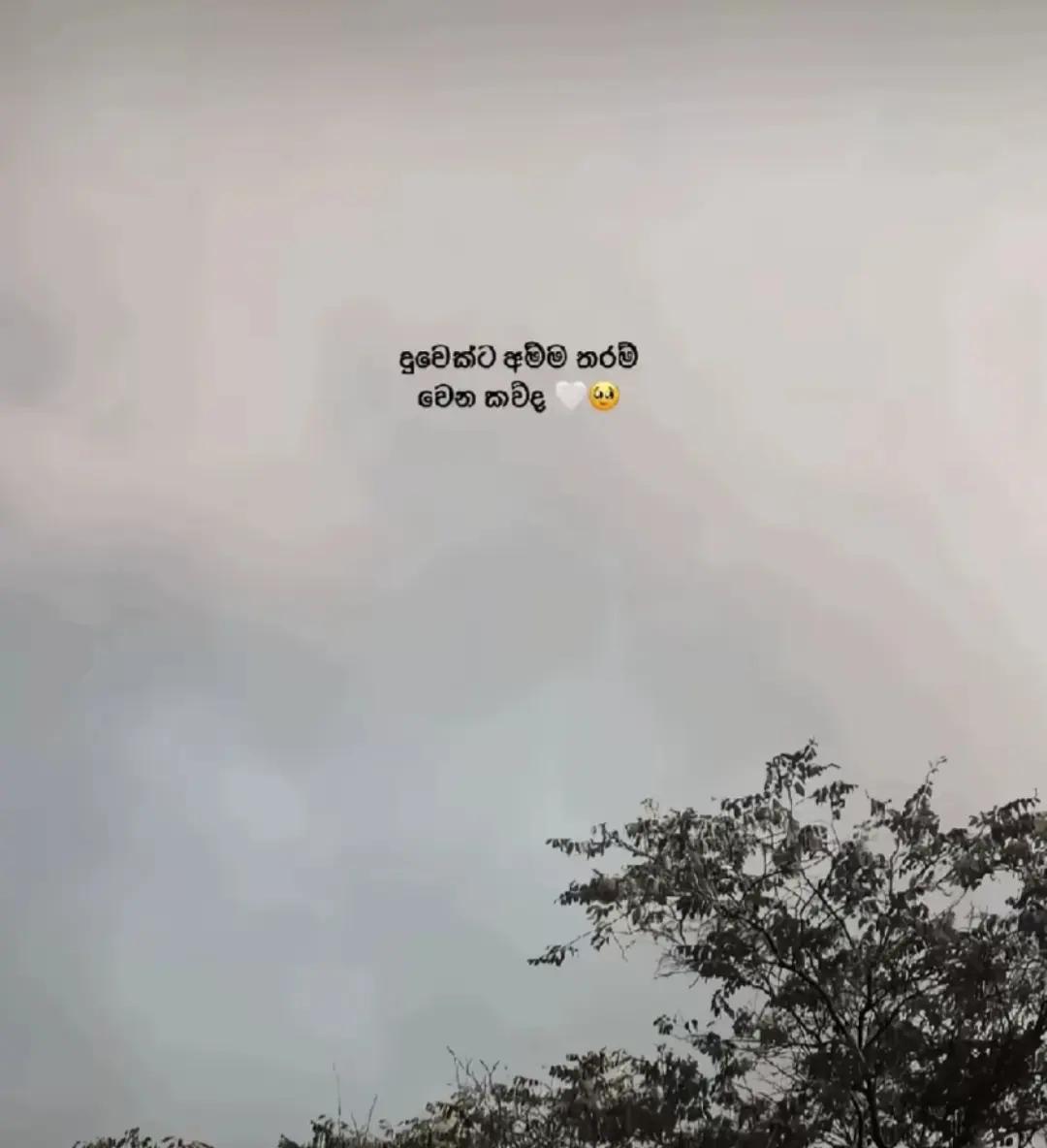 @𝓐𝓫𝓱𝓲 𝓰𝓲𝓻𝓵  🕊️❤️&zwj;🩹