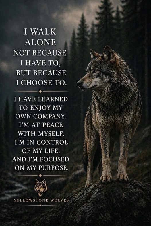 @🐺Carrie🌙Anne🐦&zwj;⬛