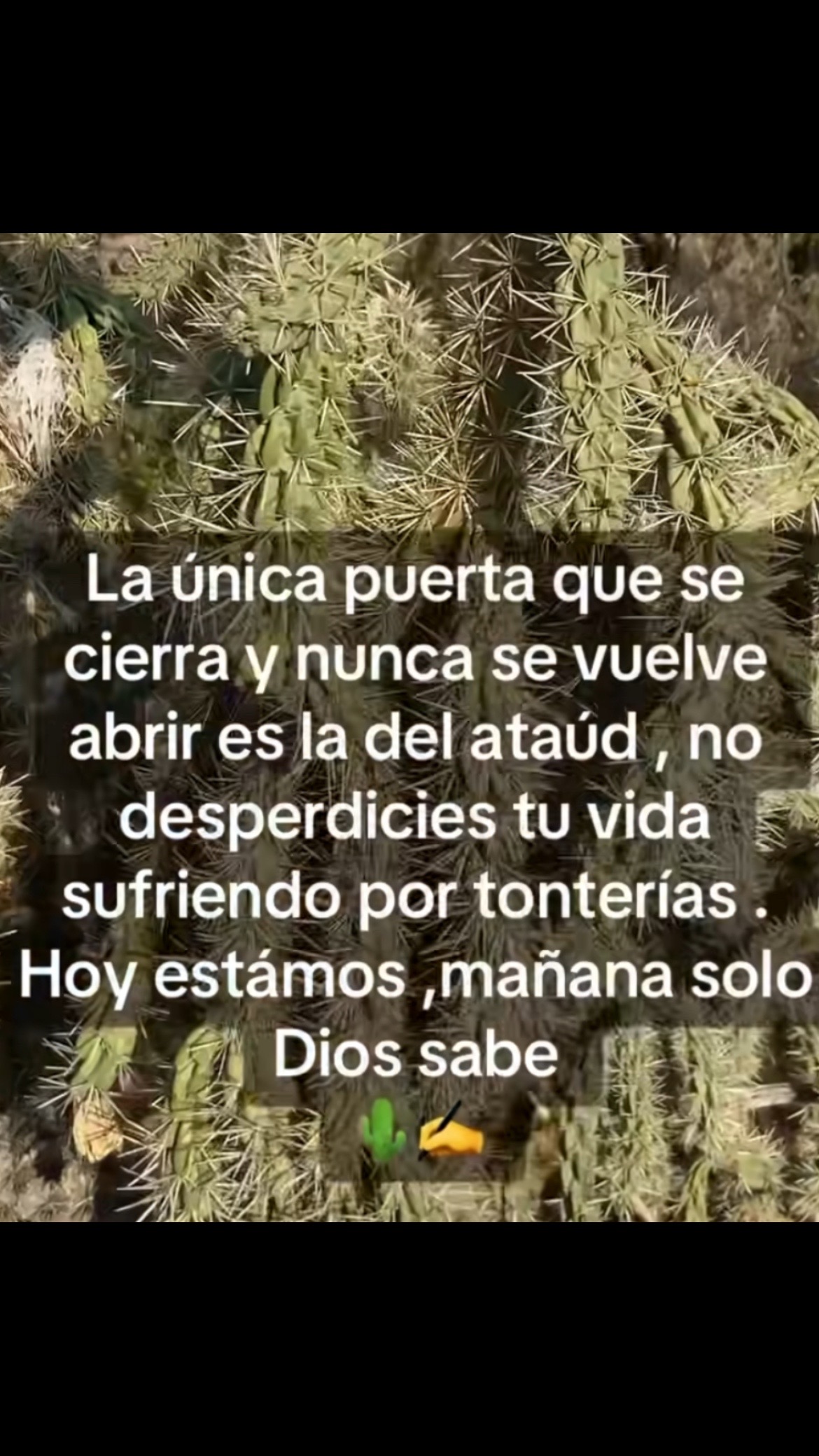 @Pedro Cruz