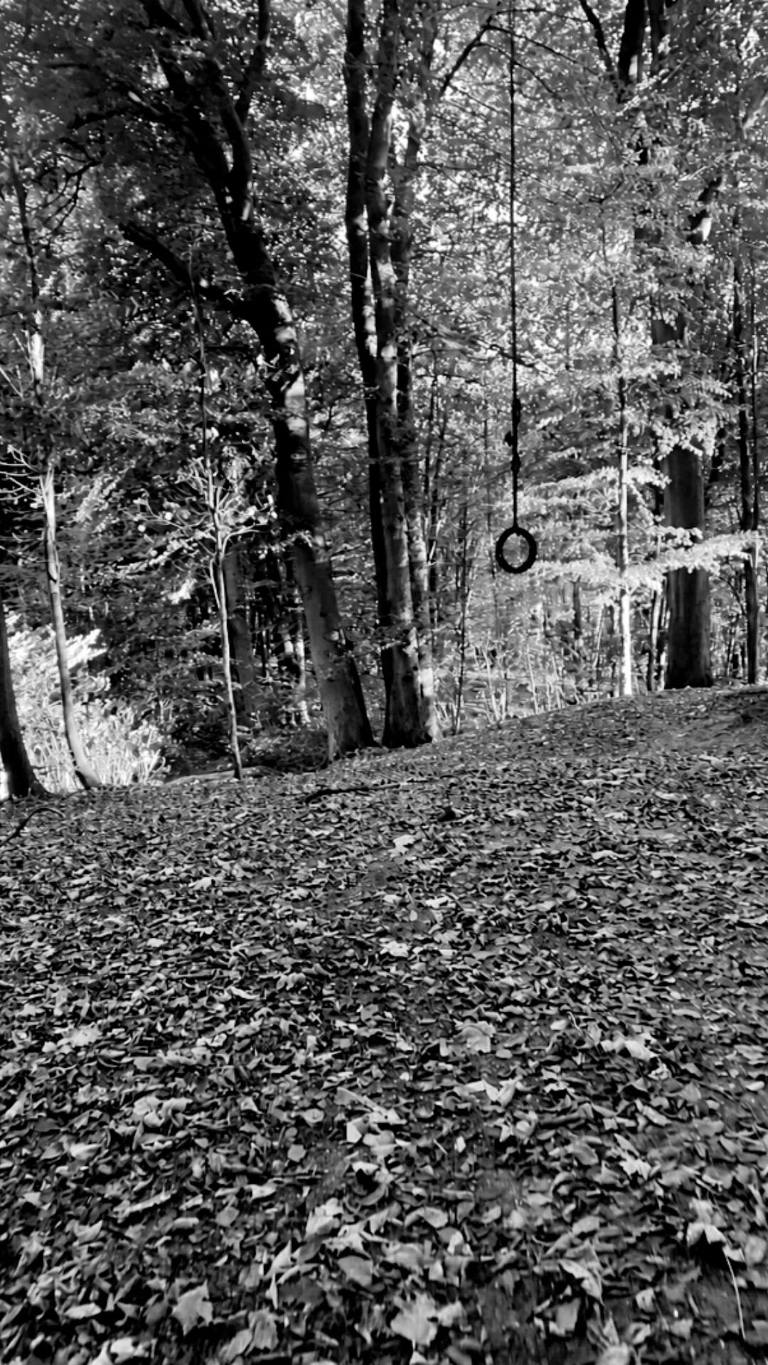 @🪽